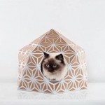 The Cat Box by Delphine Courier-5