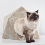 The Cat Box by Delphine Courier-8