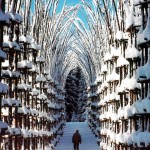 Vegetal Cathedral in Italy-0