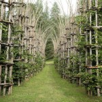 Vegetal Cathedral in Italy-1