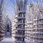 Vegetal Cathedral in Italy-2