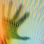Visual Sculptures Made With Thread-2