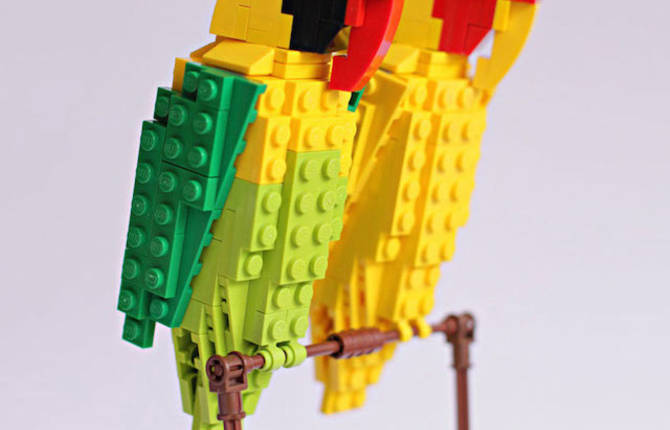Birds in LEGO by Tom Poulsom
