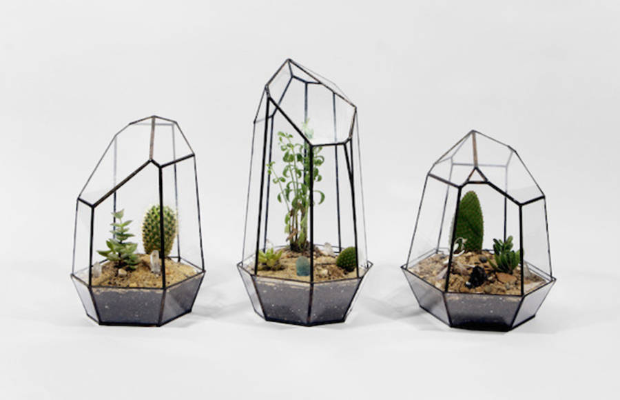 Geometric Glass Terrariums and Lamps