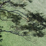 natgeophotooftheday-15