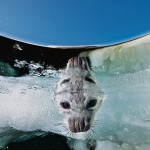 natgeophotooftheday-20