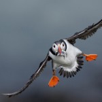natgeophotooftheday-22