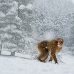 natgeophotooftheday-38