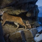 natgeophotooftheday-4
