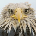 natgeophotooftheday-45
