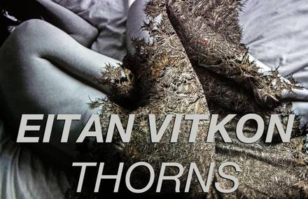 Thorns by Eitan Vitkon