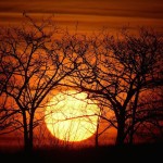 Back Light Silhouettes Photography-16