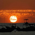 Back Light Silhouettes Photography-7