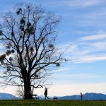 Back Light Silhouettes Photography-9