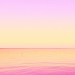 Candy-Colored Minimalism Photography-20