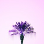 Candy-Colored Minimalism Photography-22