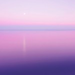 Candy-Colored Minimalism Photography-28