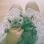 Delicate and Romantic Photography-0