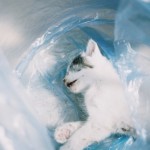 Delicate and Romantic Photography-10