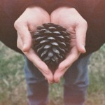 Delicate and Romantic Photography-8