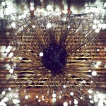 Digital Organic Art -1