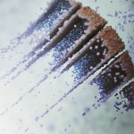 Digital Organic Art -14