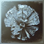 Digital Organic Art -21
