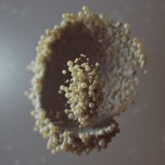 Digital Organic Art -8
