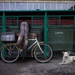 Funny Moments Photography in Romania_1