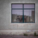 Funny Moments Photography in Romania_13