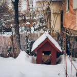 Funny Moments Photography in Romania_19