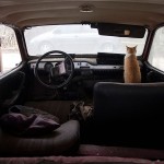 Funny Moments Photography in Romania_2