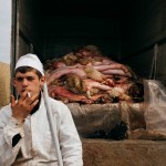 Funny Moments Photography in Romania_7