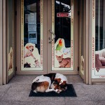 Funny Moments Photography in Romania_9