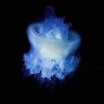 Glowing Creatures in Black Water-18