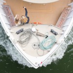 High-Angle Shot of People in a Boat-5