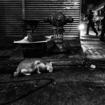 Hong Kong Black and White Photography-20