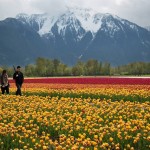 Humans in the Landscapes-10