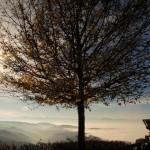 Humans in the Landscapes-18