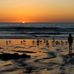Humans in the Landscapes-19