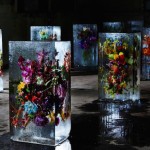 Iced Flowers Installations -1