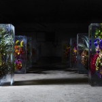 Iced Flowers Installations -1b