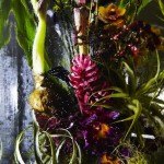 Iced Flowers Installations -2