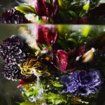 Iced Flowers Installations -6