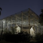 Ideal City Photography-12