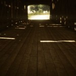 In-Game Gta V Photography-26