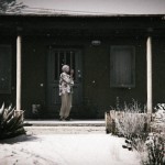 In-Game Gta V Photography-3