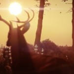 In-Game Gta V Photography-30