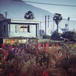 In-Game Gta V Photography-9