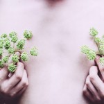 Inspiring Smoke and Nature Photography-10 Inspiring Smoke and Nature Photography-10